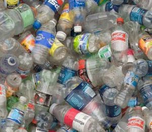 marcela once, artista plástica