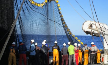 La flota atunera española es la primera del país que se suma al pacto mundial de la ONU