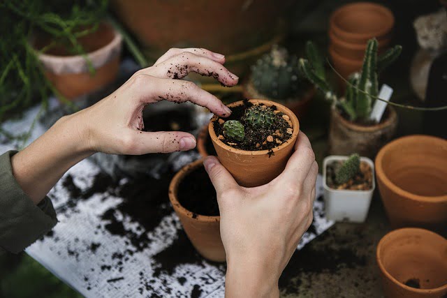 ‘Jardinería por el Clima’: un curso con el que satisfacer la urgencia ambiental