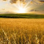 “A MI HIJA” por Rosa Mary de Torres