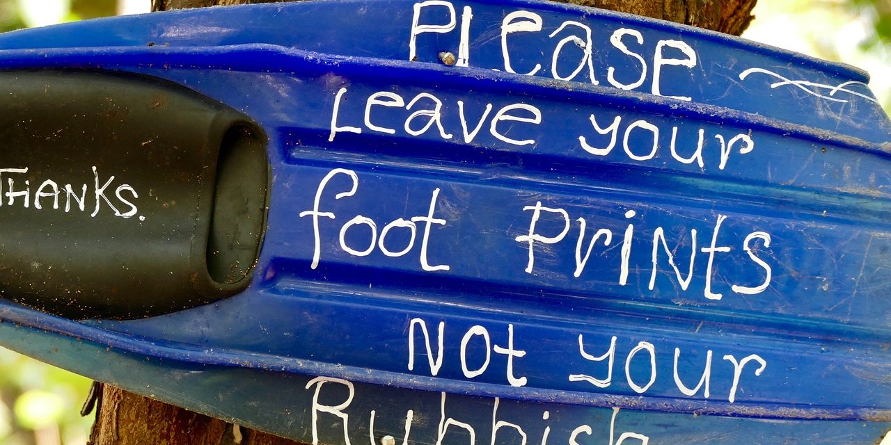 Plástico y Salud: el Coste oculto de un planeta de plástico, un informe revelador