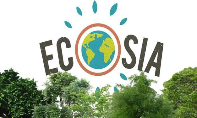 Ecosia, el navegador que contribuye a la conservación del medio ambiente