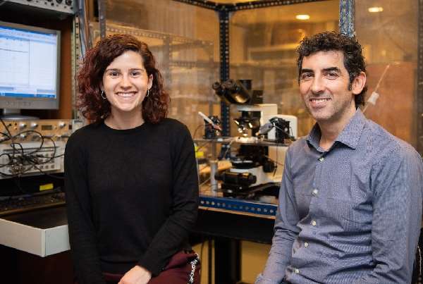 Los investigadores Alba Andrés-Bilbé y Xavier Gasull, de la Facultad de Medicina y Ciencias de la Salud, del Instituto de Neurociencias de la Universidad de Barcelona (UBNeuro) y del Grupo de Investigación en Neurofisiología del IDIBAPS. Foto cortesía de UB