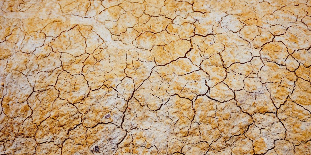 Microsoft mantiene su compromiso para ayudar al planeta con la ciencia de datos