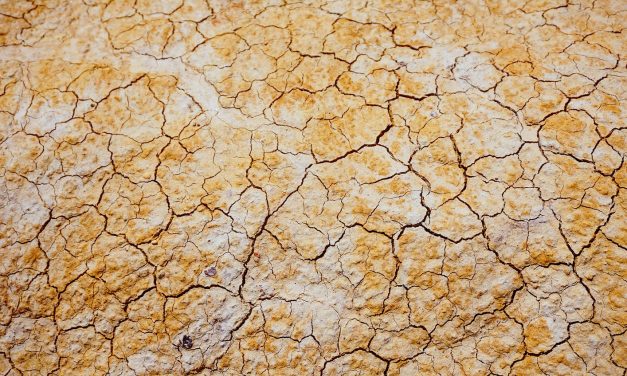 Microsoft mantiene su compromiso para ayudar al planeta con la ciencia de datos