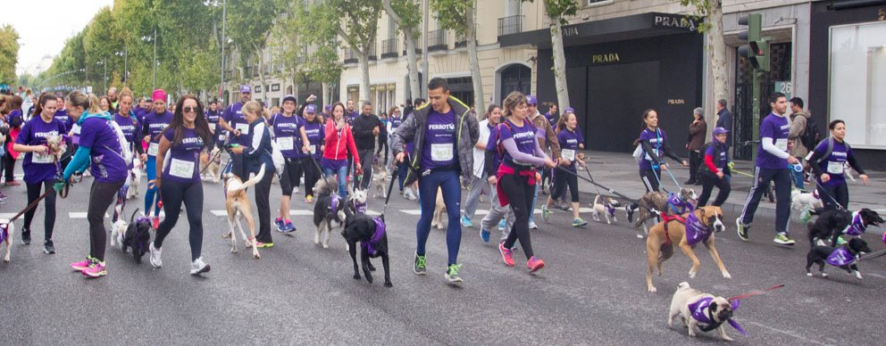 Perrotón Madrid abre plazo de inscripciones el 15/04 #CorreContraElAbandono