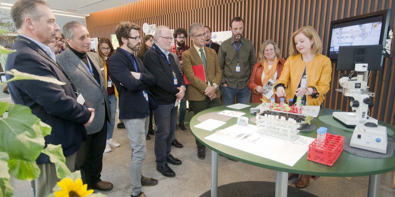 Jaén exhibe cómo ampliar las defensas para evitar el estrés de las plantas