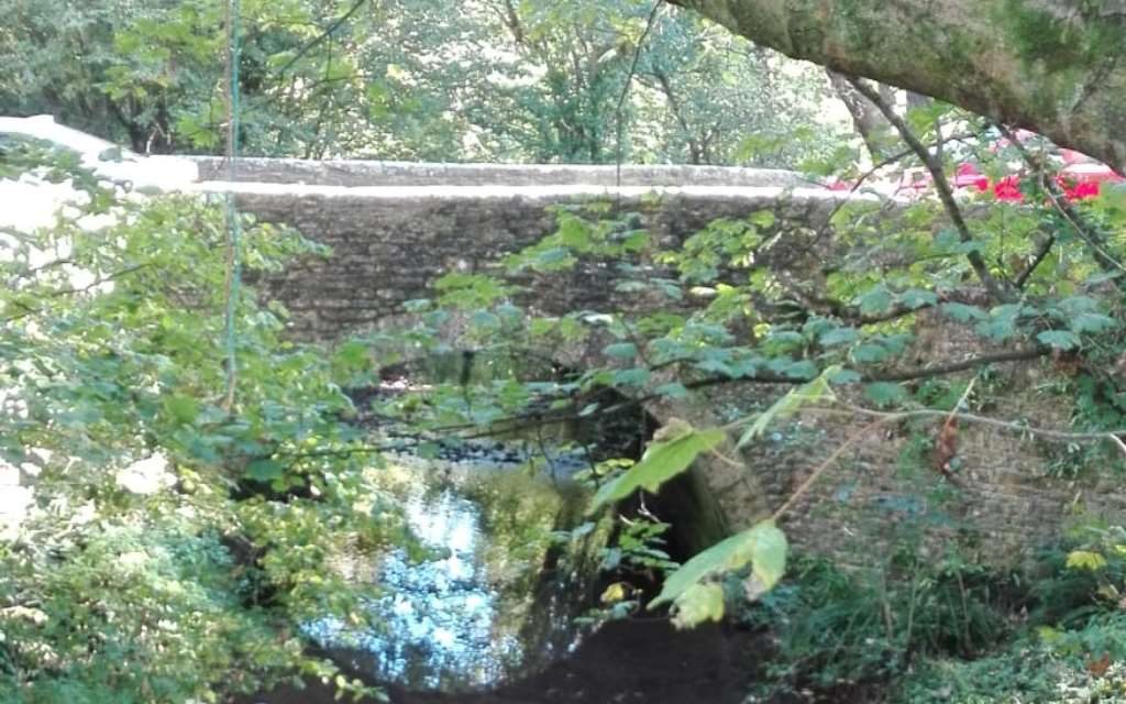 El Feminismo en el mundo rural (Opinión)