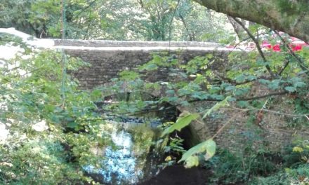 El Feminismo en el mundo rural (Opinión)