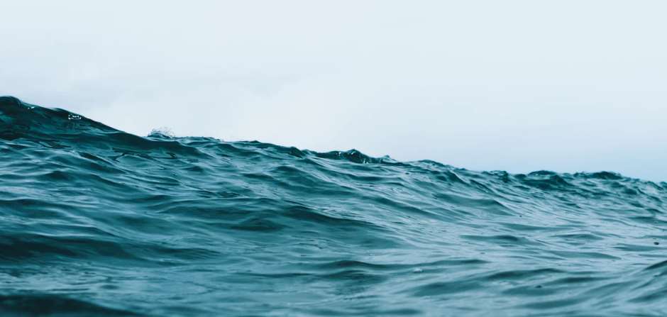 Limpiemos el Mar en los Baños del Carmen