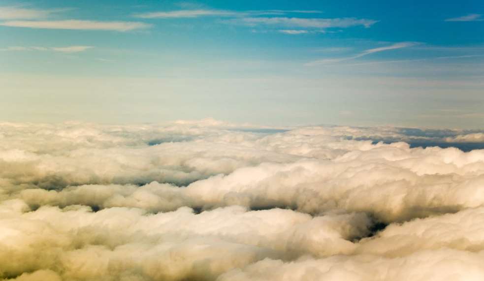 Un millón de especies están en amenazas por la actividad humana, así como también estamos al borde de un punto de no retorno