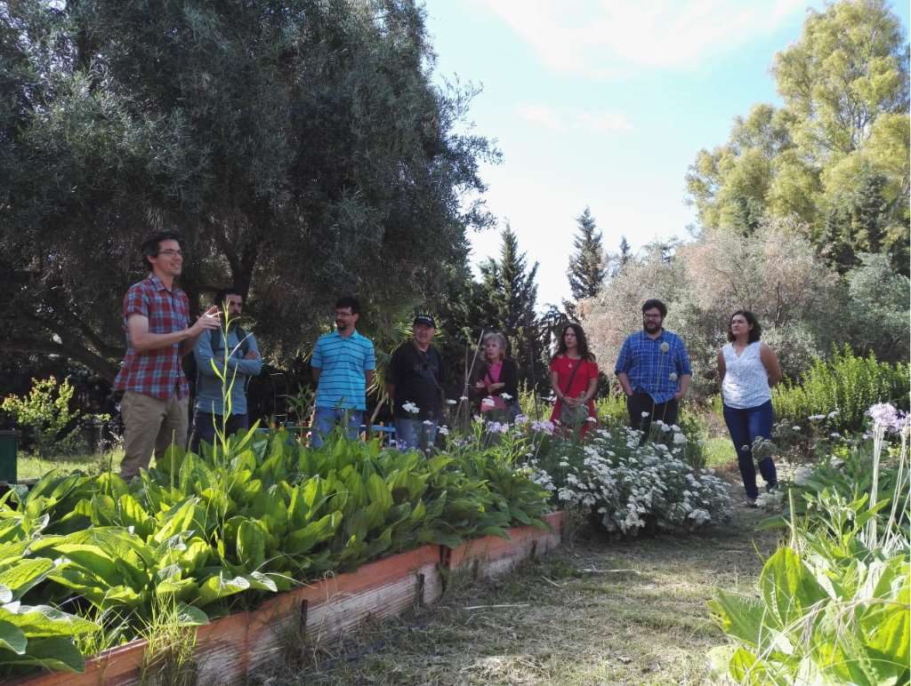 Alberto Jiménez, de Ecoherencia, nos explicó el trabajo que están realizando en este huerto con plantas multifuncionales (PlaM)