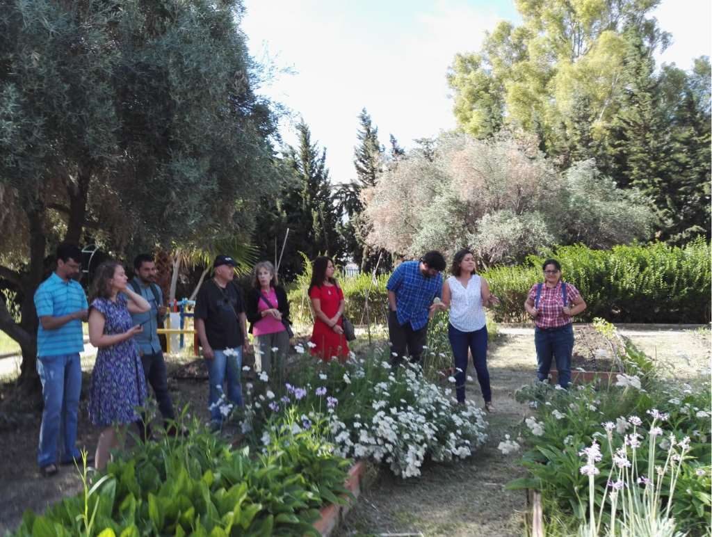 Un ejemplo de estas PlaM es el la Tulbhagia, conocida popularmente como "ajo social"