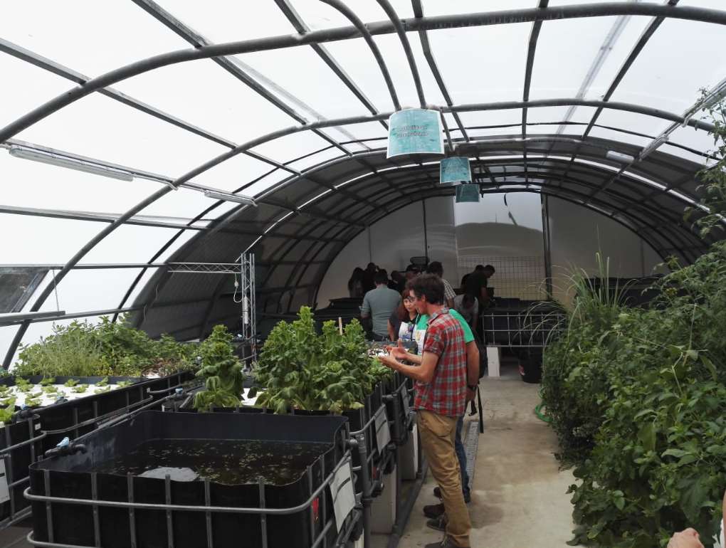 instalaciones de acuoponía del Aula del Mar