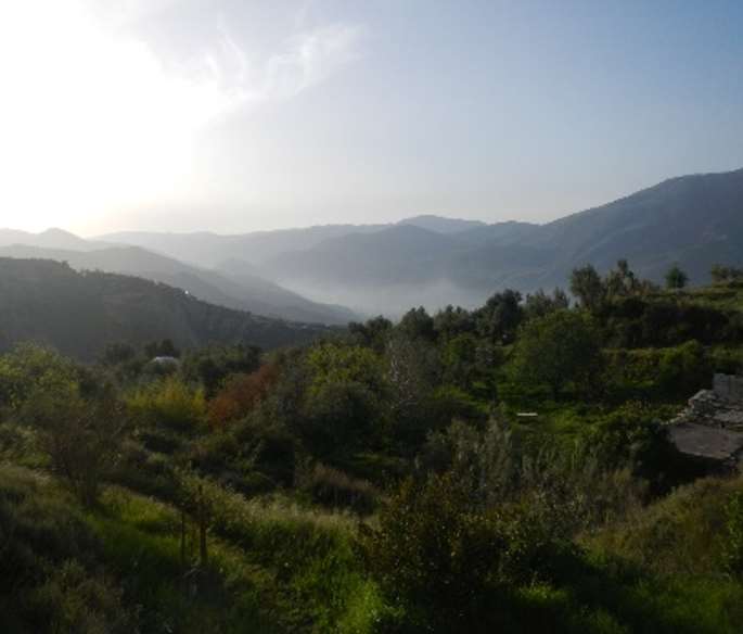 Te invitamos a conocer Amoraleza, una comunidad ecológica espiritual que abraza un estilo de vida de bajo impacto, profundamente en sintonía con la madre naturaleza