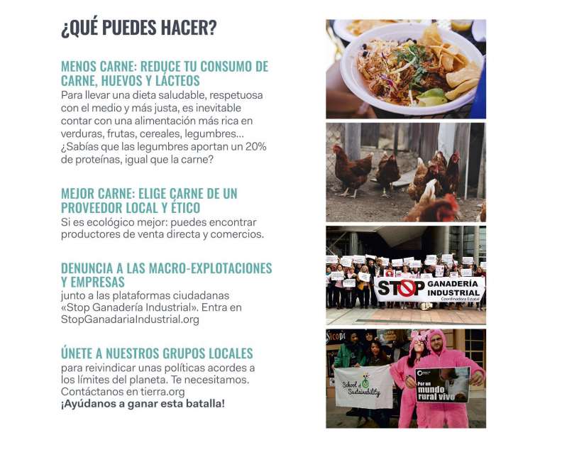 Campaña #EnsuPuntoJusto