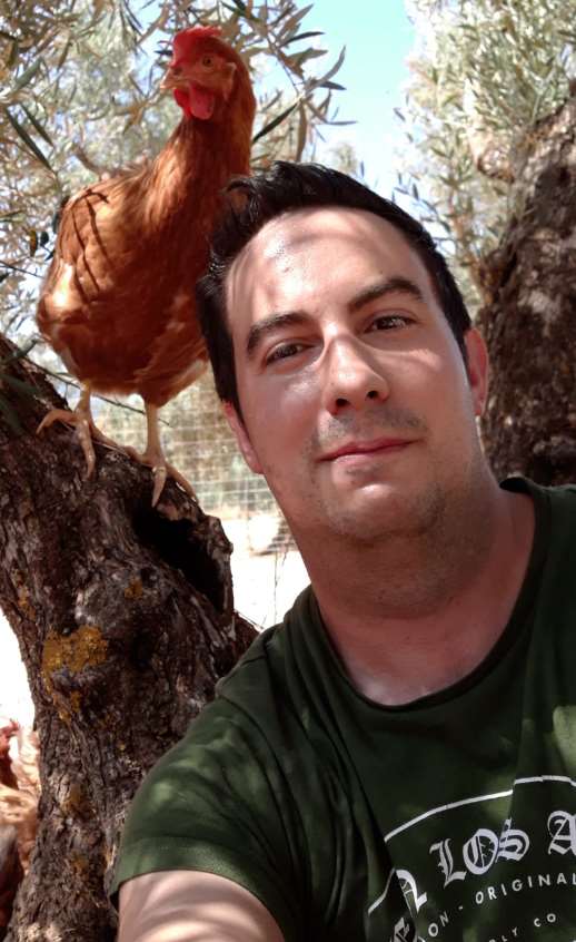 Cuidando gallinas felices