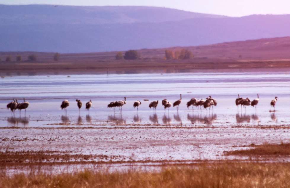 Este informe estudia por primera vez la relación entre el cambio climático y los usos del suelo