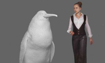 Descubren el fósil de un pingüino gigante