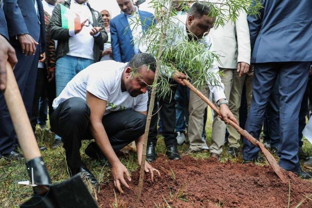 Etiopía planta 353 millones de árboles en un día