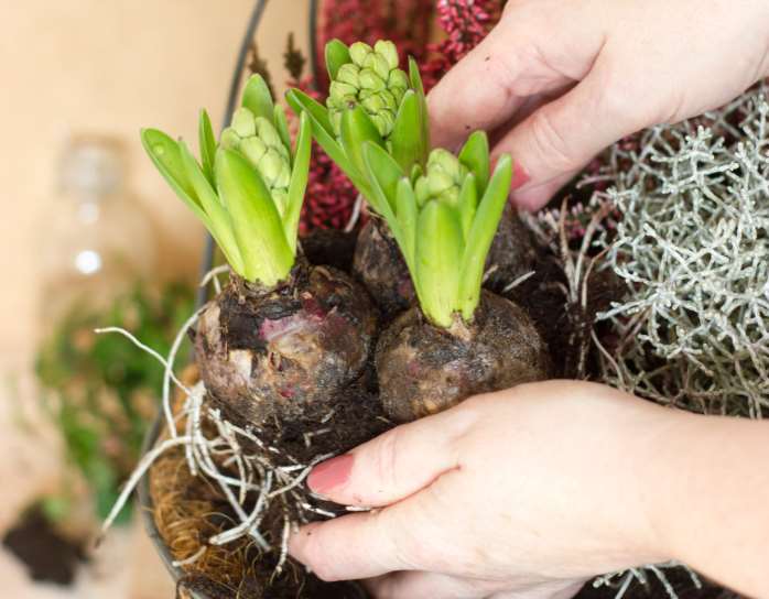 La convocatoria #pornuestroplaneta, que está cogiendo fuerza a nivel mundial, busca sensibilizar sobre la necesidad de cuidar el planeta después del desastre ecológico de la Amazonia