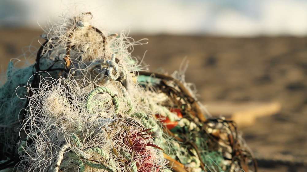 Net100-Net+Positiva ha recogido hasta junio pasado, y seis meses antes del objetivo marcado, 100 toneladas de redes de pesca a lo largo de la costa de Chile