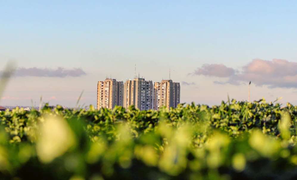 Jornada “Municipios 2030. Las nuevas economías y la innovación social como herramientas locales para alcanzar los Objetivos de Desarrollo Sostenible (ODS)”