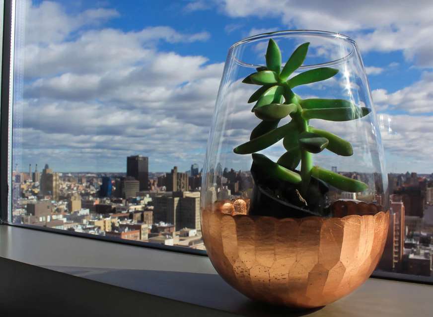 Más de 300 organizaciones españolas secundan la Huelga Mundial por el Clima