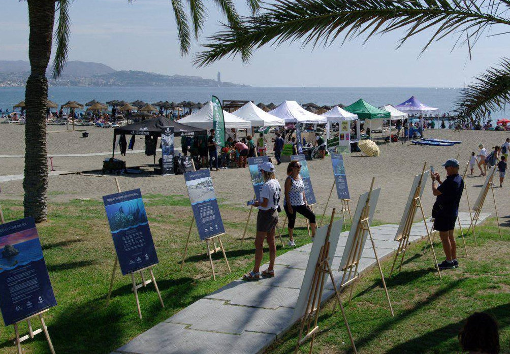Emergencia climática y ecológica