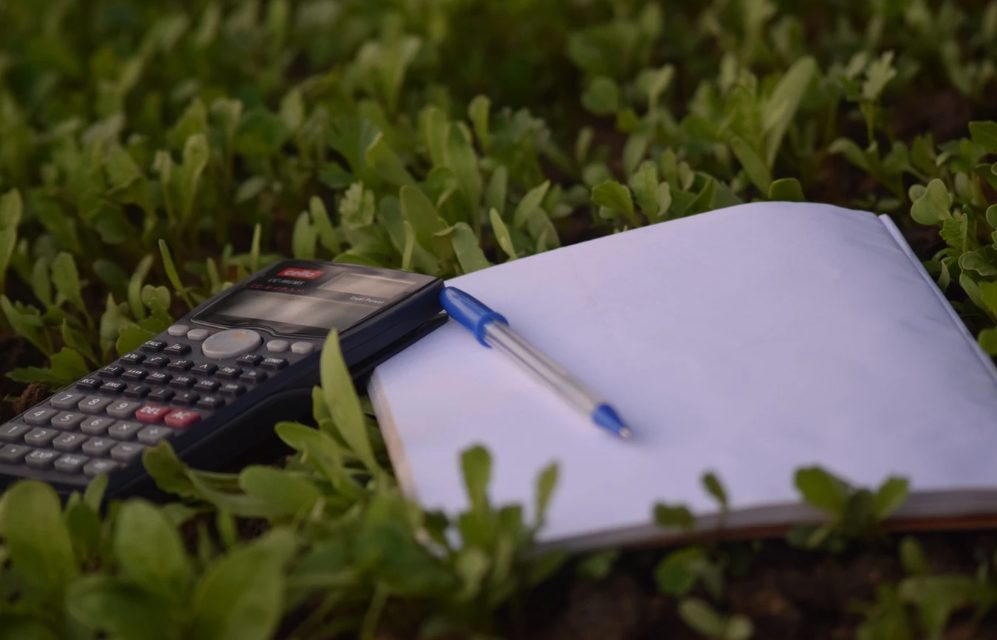 Descubre el verdadero coste de un préstamo con esta calculadora