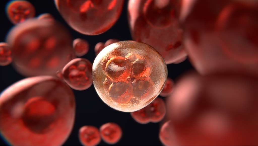 Primer tratamiento exitoso contra el ocogen KRAS que provoca varios tipos de cáncer