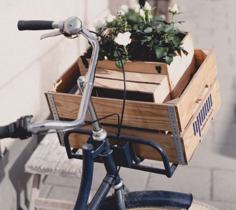 10 medidas para luchar contra la emergencia climática