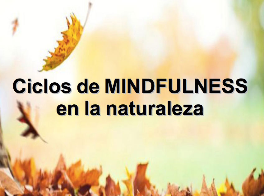 Retiro de MINDFULNESS en la Naturaleza (Montes de Málaga)