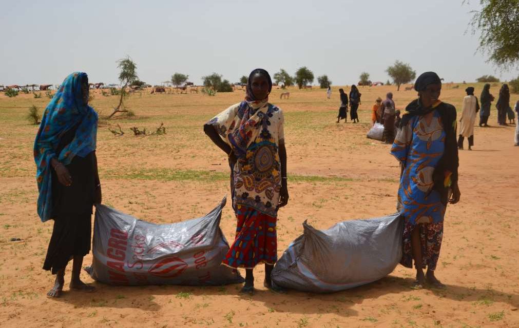Distribución de emergencia en Níger de Acción contra el Hambre