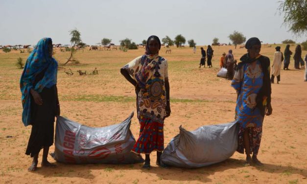 Distribución de emergencia en Níger de Acción contra el Hambre
