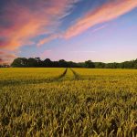 Por un modelo agrario y ganadero justo