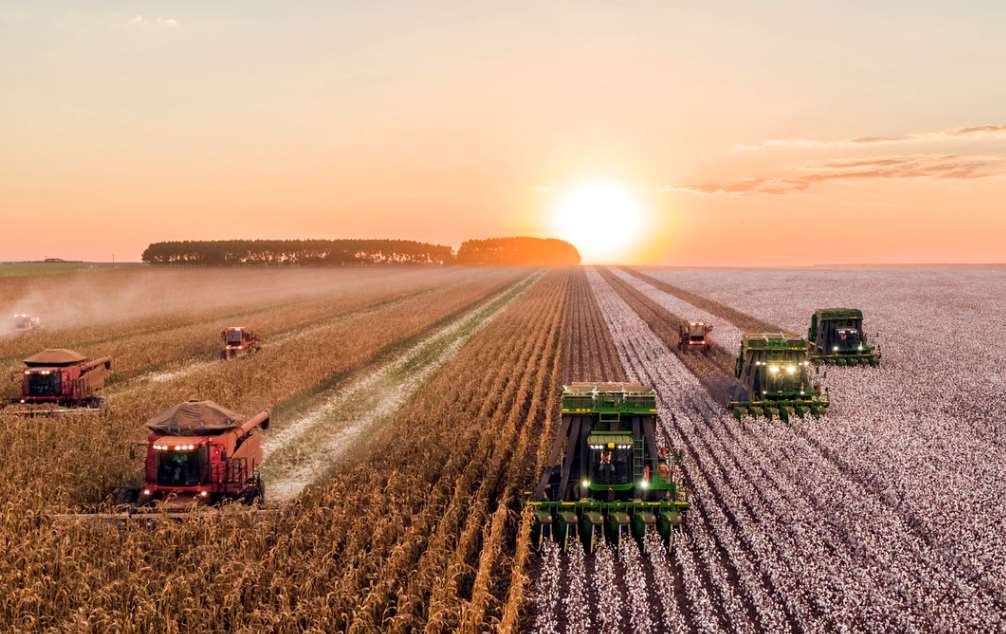 Nuevo modelo de desarrollo