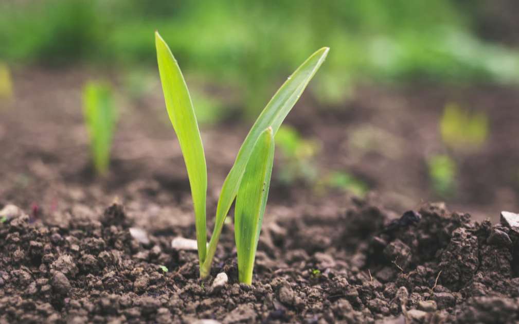 Nuevo marco para la transición ecológica