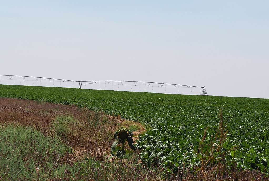 Agricultura más sostenible con riego fotovoltaico