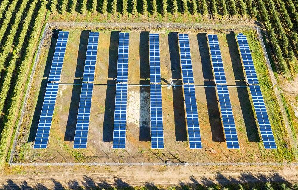 Agricultura más sostenible con riego fotovoltaico