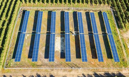 Agricultura más sostenible con riego fotovoltaico