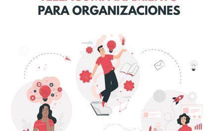 Teleacompañamiento para organizaciones 💻🤗