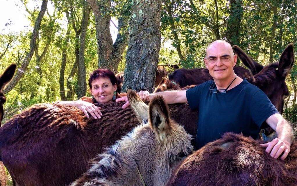 Una campaña solidaria evita el cierre de la Reserva de burros Rukimon