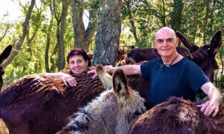 Una campaña solidaria evita el cierre de la Reserva de burros Rukimon