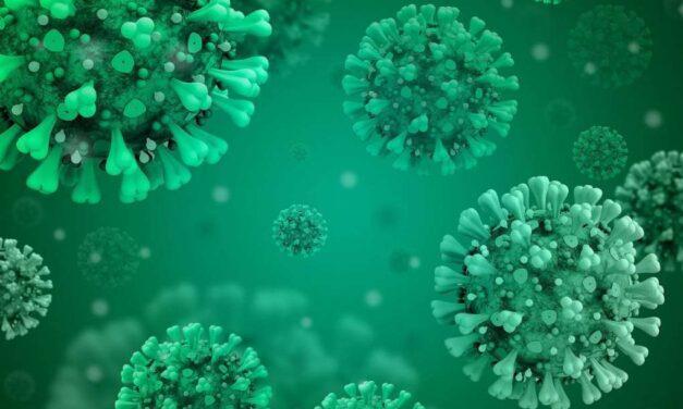 Avance en el desarrollo de antivirales contra el coronavirus