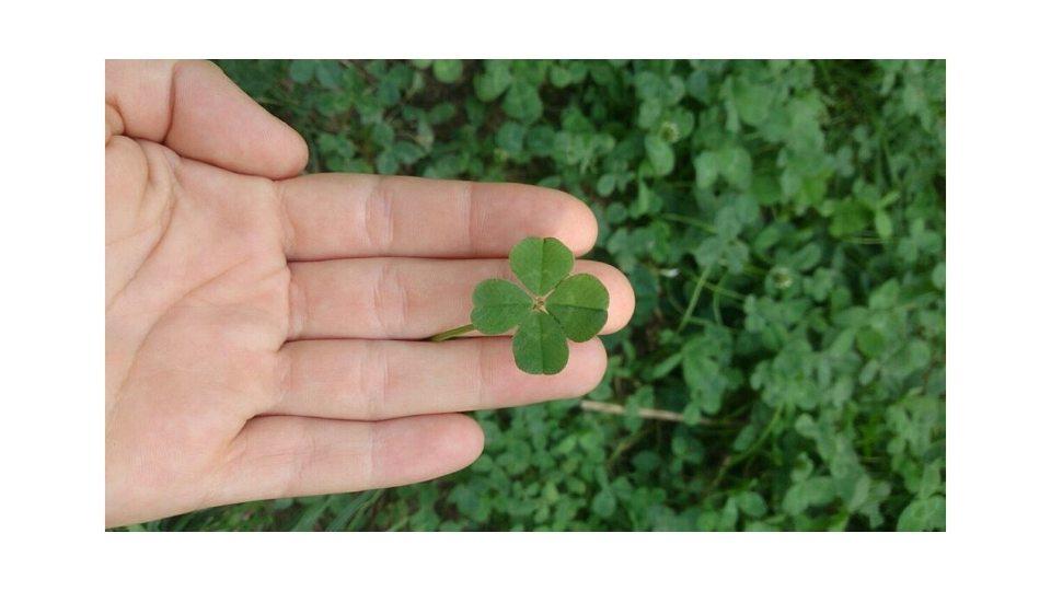 EL SER CREATIVO (PARTE SEGUNDA)