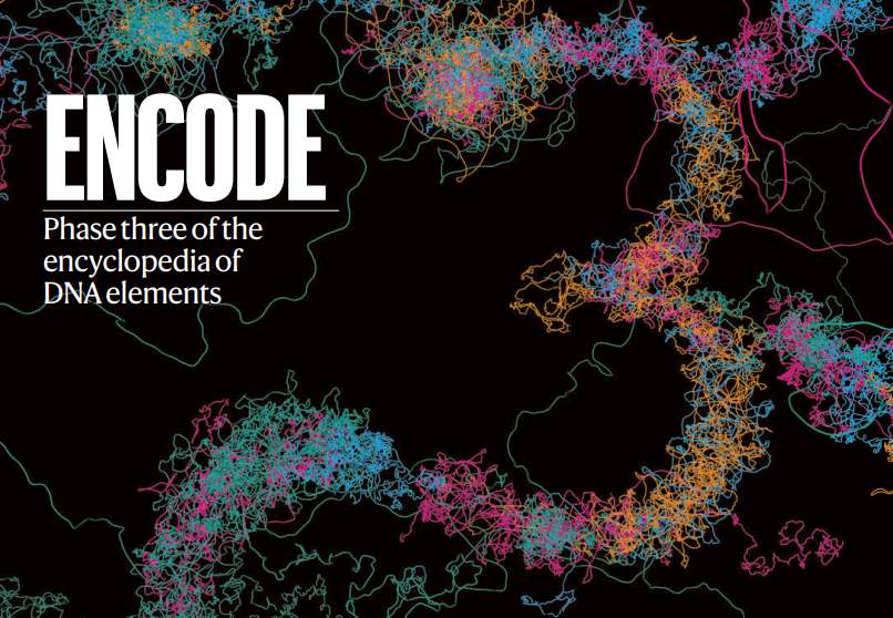 Portada de esta semana de la revista 'Nature'. Foto cortesía de Agencia Sinc