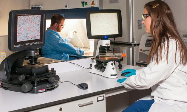 Resuelven un enigma del cáncer de hace más de cuarenta años