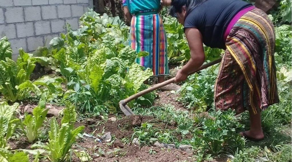 Crowdfunding de Kemonïk ONG para ayudar a mujeres y niños de Guatemala