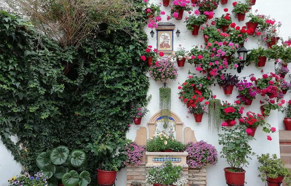 Fiesta de los Patios 2020: Córdoba celebra una edición especial en octubre